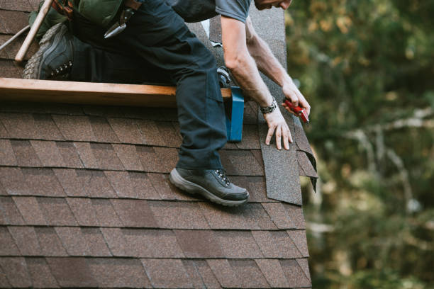 Best Roof Gutter Cleaning  in Porter, IN